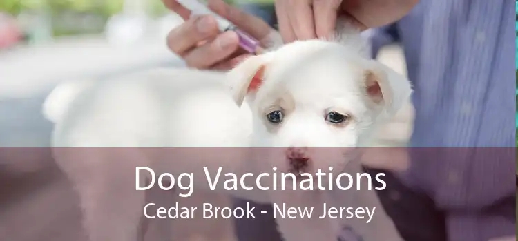 Dog Vaccinations Cedar Brook - New Jersey