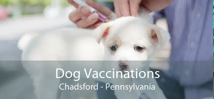 Dog Vaccinations Chadsford - Pennsylvania