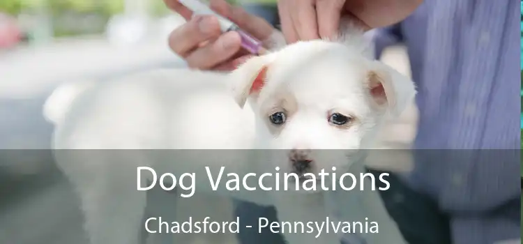 Dog Vaccinations Chadsford - Pennsylvania