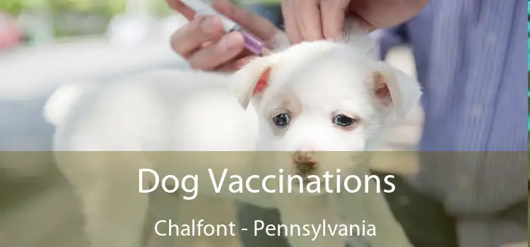Dog Vaccinations Chalfont - Pennsylvania