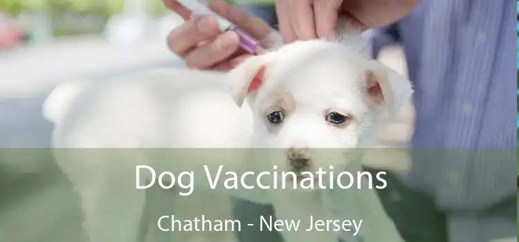 Dog Vaccinations Chatham - New Jersey