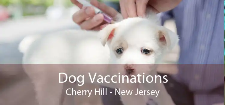 Dog Vaccinations Cherry Hill - New Jersey