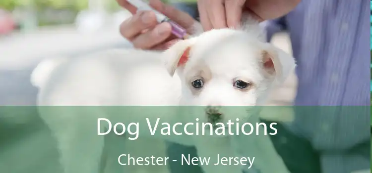 Dog Vaccinations Chester - New Jersey