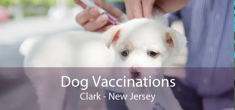 Dog Vaccinations Clark - New Jersey