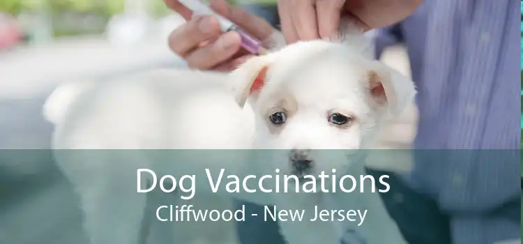 Dog Vaccinations Cliffwood - New Jersey
