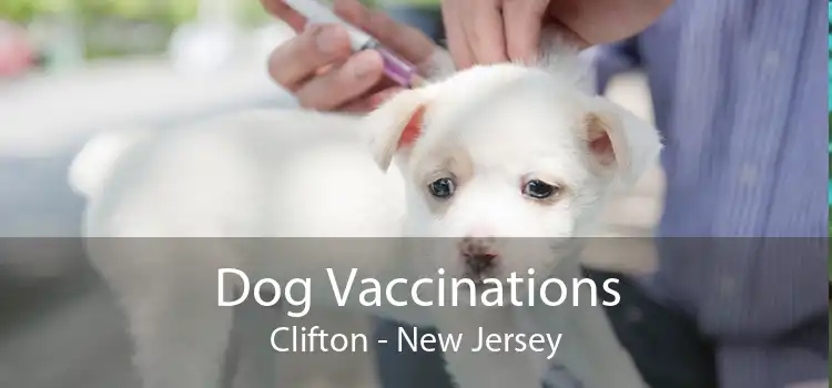 Dog Vaccinations Clifton - New Jersey