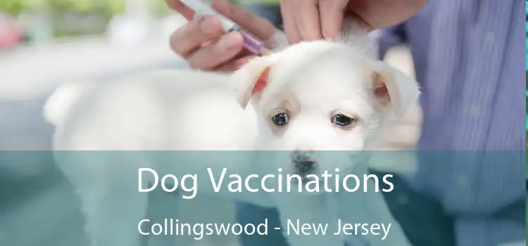 Dog Vaccinations Collingswood - New Jersey