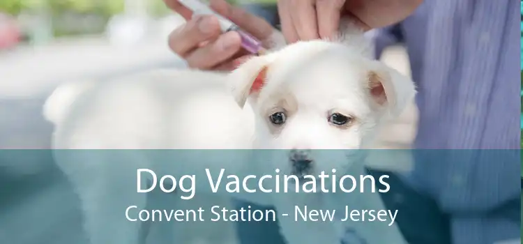 Dog Vaccinations Convent Station - New Jersey