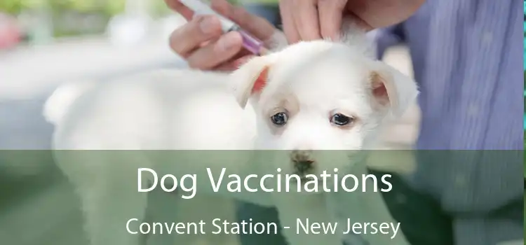 Dog Vaccinations Convent Station - New Jersey