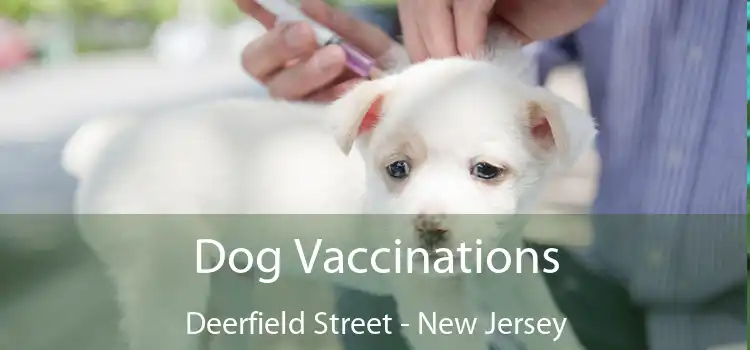 Dog Vaccinations Deerfield Street - New Jersey