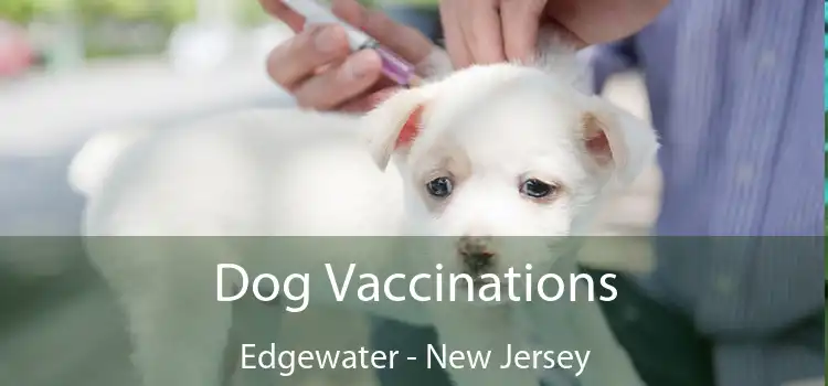 Dog Vaccinations Edgewater - New Jersey