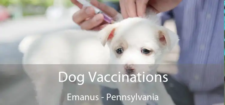 Dog Vaccinations Emanus - Pennsylvania