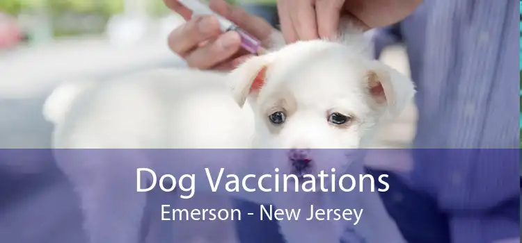 Dog Vaccinations Emerson - New Jersey