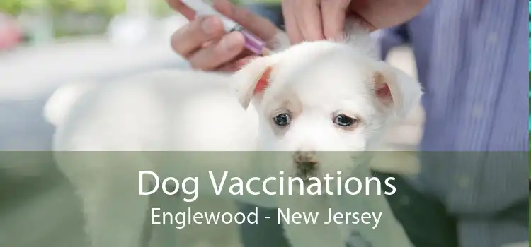 Dog Vaccinations Englewood - New Jersey