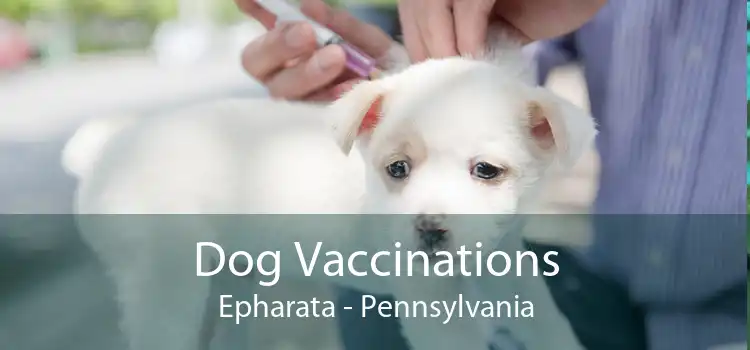 Dog Vaccinations Epharata - Pennsylvania