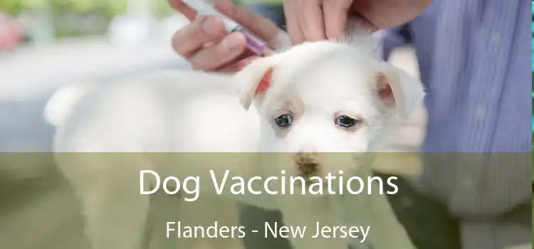 Dog Vaccinations Flanders - New Jersey