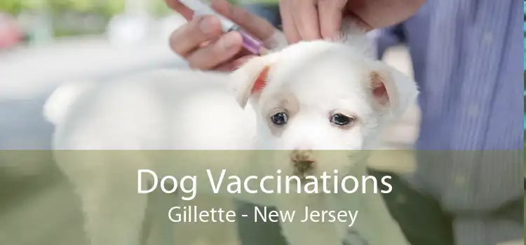 Dog Vaccinations Gillette - New Jersey
