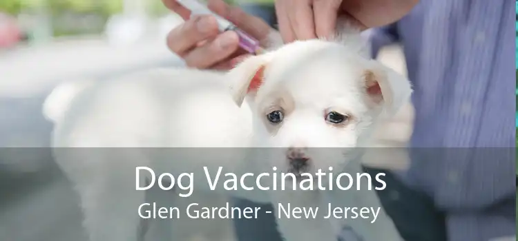Dog Vaccinations Glen Gardner - New Jersey