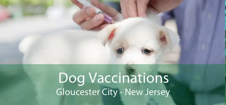 Dog Vaccinations Gloucester City - New Jersey