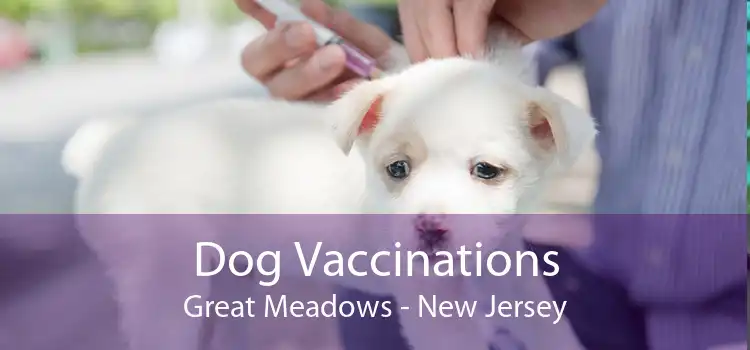 Dog Vaccinations Great Meadows - New Jersey