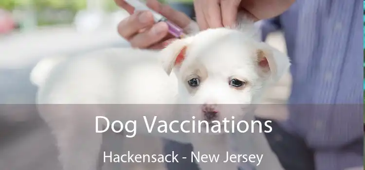 Dog Vaccinations Hackensack - New Jersey