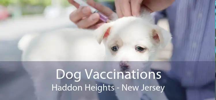 Dog Vaccinations Haddon Heights - New Jersey