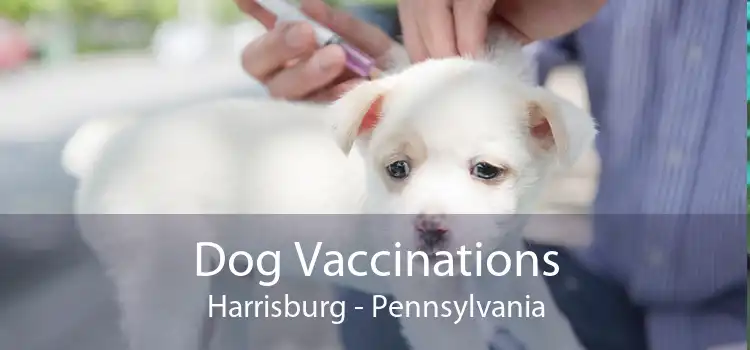 Dog Vaccinations Harrisburg - Pennsylvania