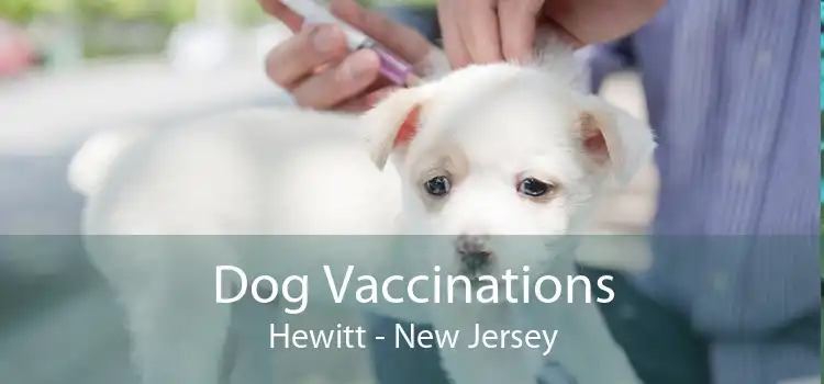 Dog Vaccinations Hewitt - New Jersey