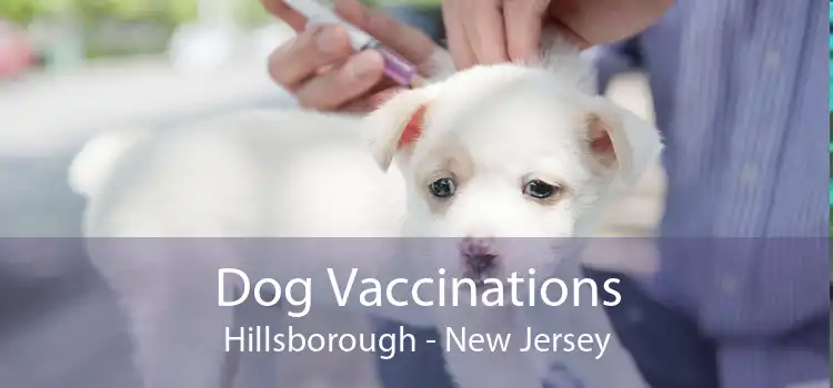 Dog Vaccinations Hillsborough - New Jersey