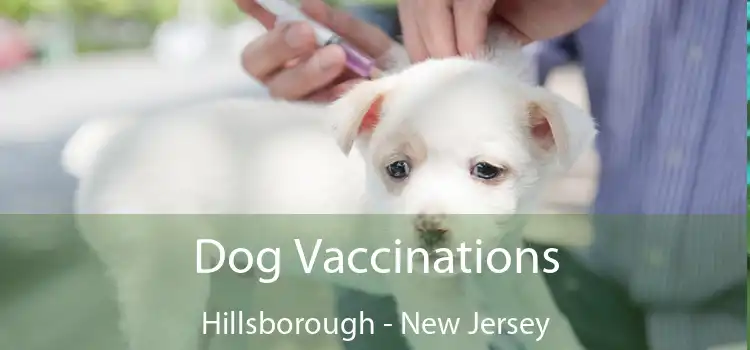 Dog Vaccinations Hillsborough - New Jersey