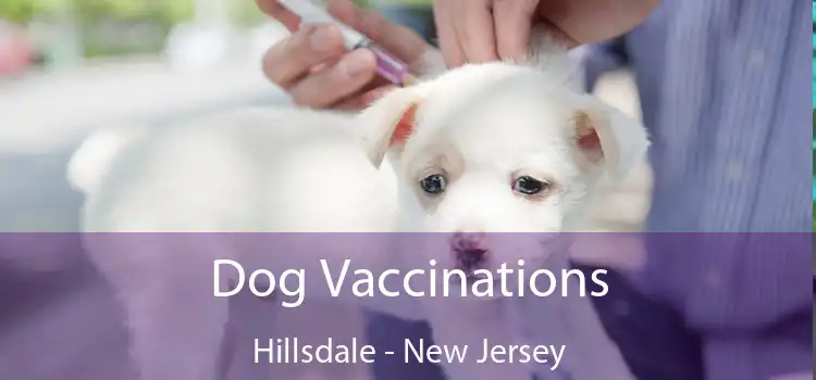 Dog Vaccinations Hillsdale - New Jersey