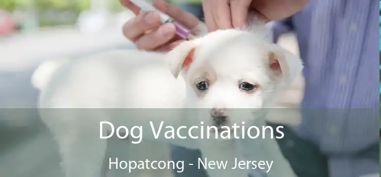 Dog Vaccinations Hopatcong - New Jersey