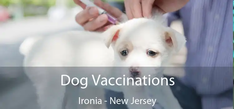 Dog Vaccinations Ironia - New Jersey