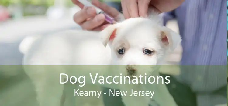 Dog Vaccinations Kearny - New Jersey