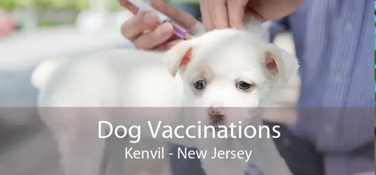 Dog Vaccinations Kenvil - New Jersey