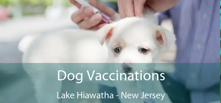 Dog Vaccinations Lake Hiawatha - New Jersey
