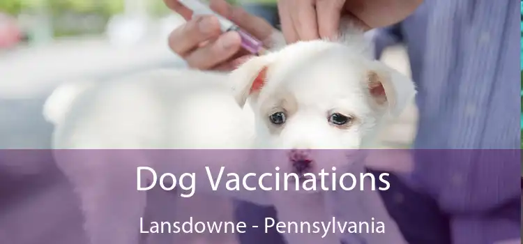 Dog Vaccinations Lansdowne - Pennsylvania