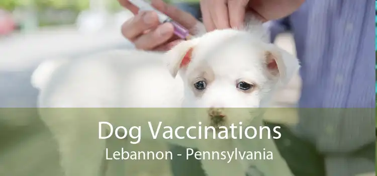 Dog Vaccinations Lebannon - Pennsylvania