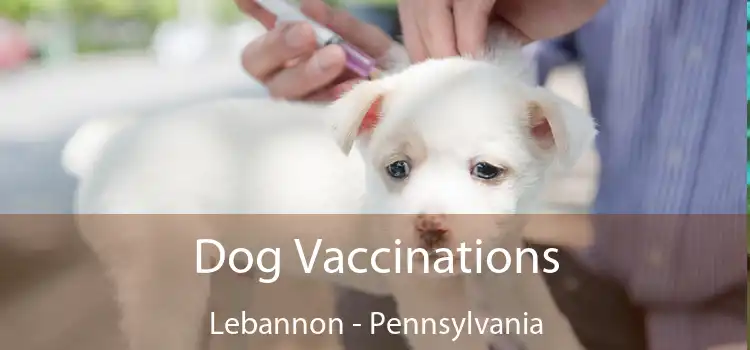 Dog Vaccinations Lebannon - Pennsylvania