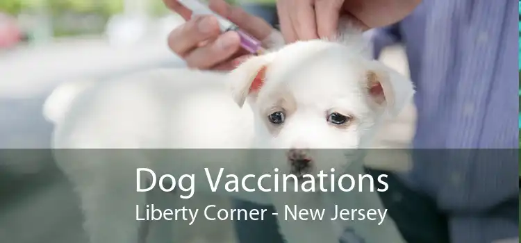 Dog Vaccinations Liberty Corner - New Jersey