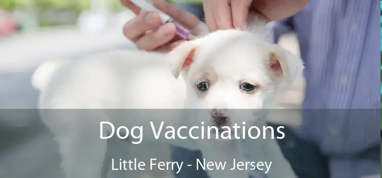 Dog Vaccinations Little Ferry - New Jersey
