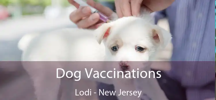 Dog Vaccinations Lodi - New Jersey