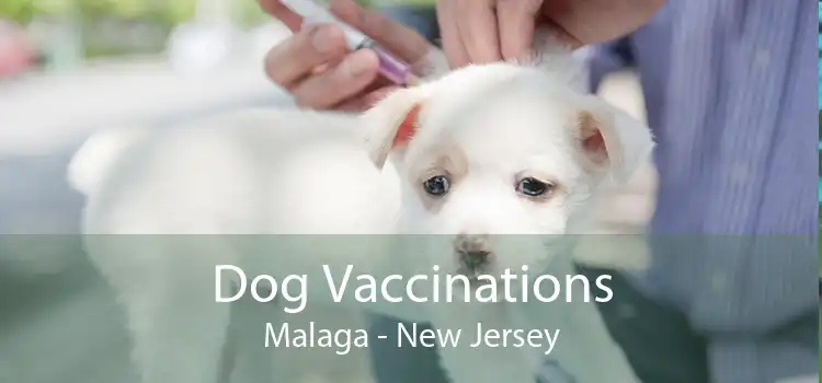 Dog Vaccinations Malaga - New Jersey
