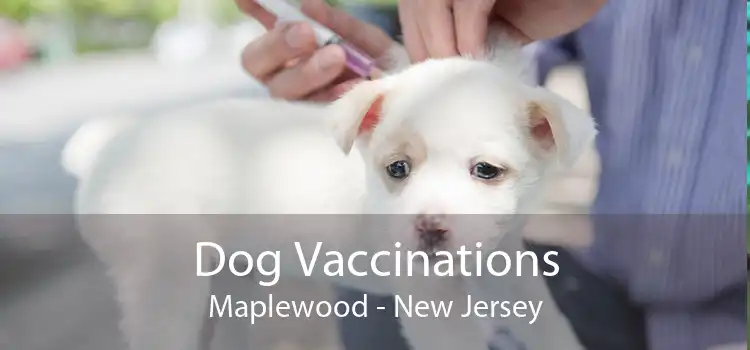 Dog Vaccinations Maplewood - New Jersey
