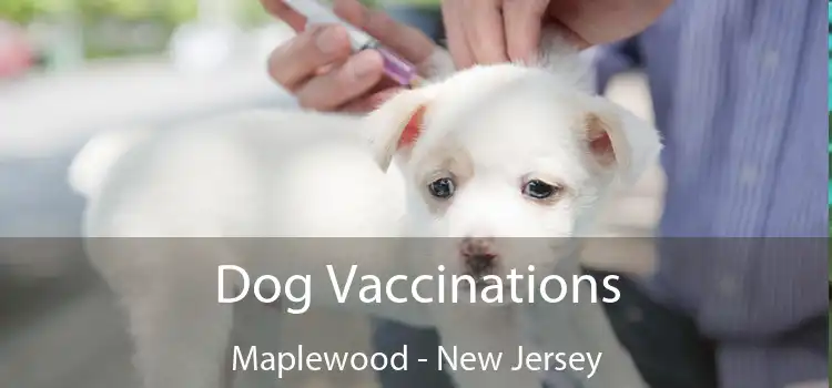 Dog Vaccinations Maplewood - New Jersey