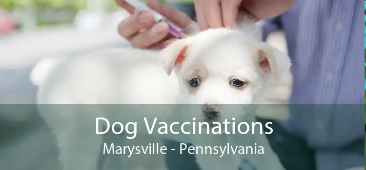 Dog Vaccinations Marysville - Pennsylvania