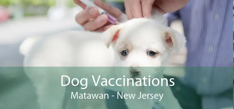 Dog Vaccinations Matawan - New Jersey