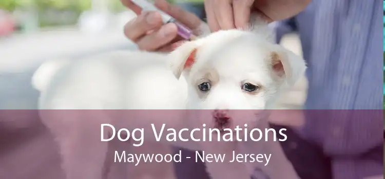 Dog Vaccinations Maywood - New Jersey