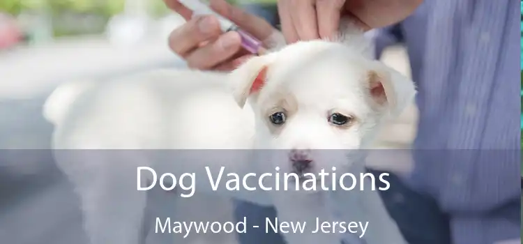 Dog Vaccinations Maywood - New Jersey