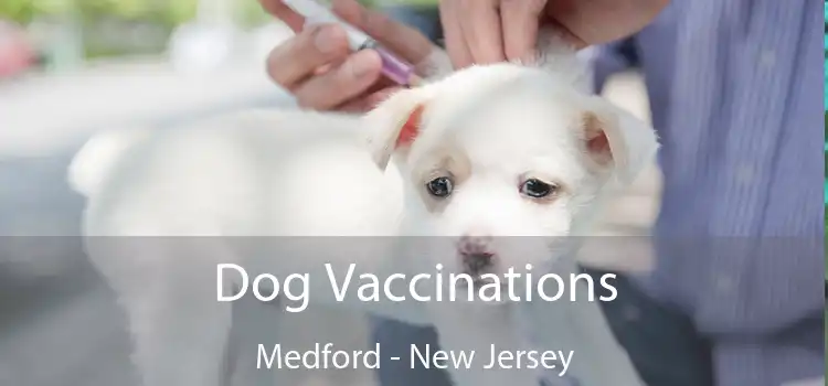Dog Vaccinations Medford - New Jersey